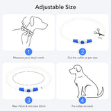 Colaseeme LED Dog Collar Light Up Dog Collars 1 Count USB Rechargeable TPU Glow Safety Basic Dog Collars, Please Do Not Use Fast Charging (Green)