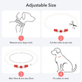 Colaseeme LED Dog Collar Light Up Dog Collars 1 Count USB Rechargeable TPU Glow Safety Basic Dog Collars, Please Do Not Use Fast Charging (Green)