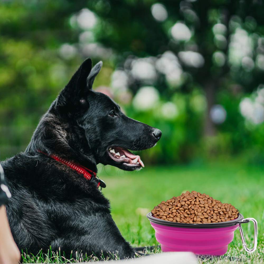 Dog Bowl Pet Collapsible Bowls, 2 Pack for Cats Dogs, Portable Pet Feeding Watering Dish for Walking Parking Traveling with 2 Carabiners (Small, Blue+Green)