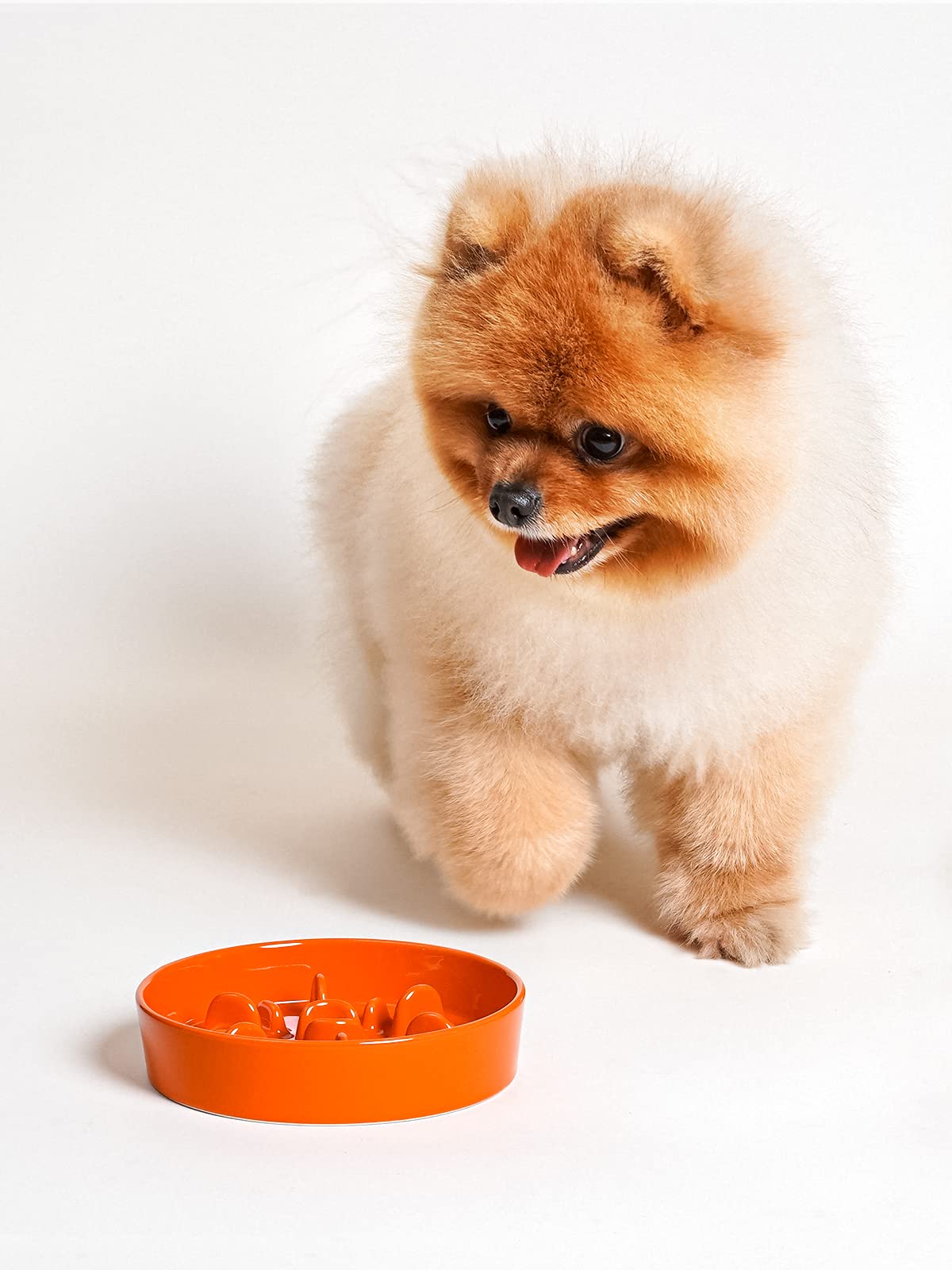 LE TAUCI Dog Bowls Slow Feeder Ceramic, 1.5 Cups Slow Feeding Dog Bowl Small Medium Breed, Puppy Slow Feeder Bowl for Fast Eater, Dog Dishes to Slow Down Eating, Puzzle Dog Food Bowl, Maze Purple