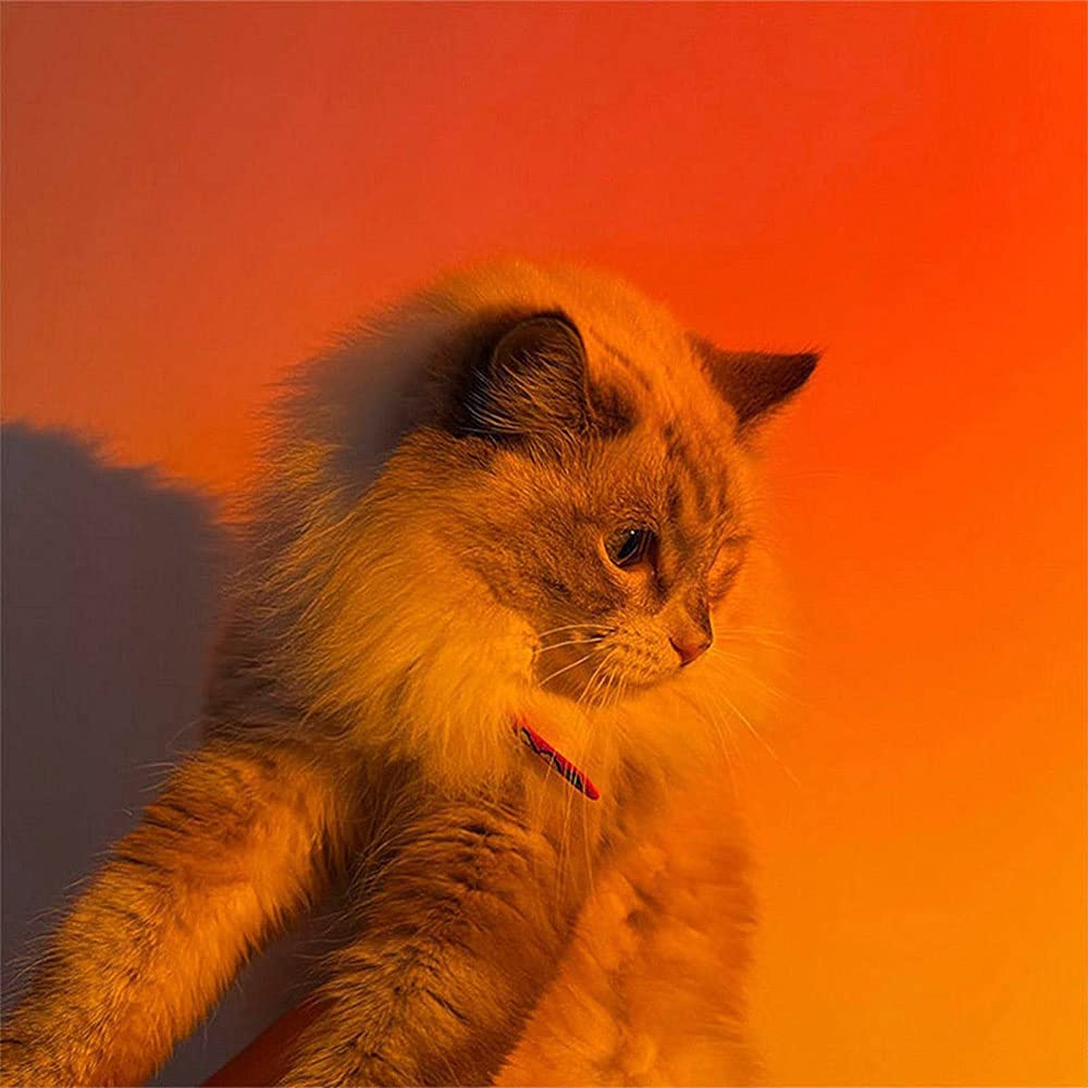 YouOKLight Sunset Lamp, Sunset Projector Lamp 10W LED Sunset Light Night Light 180 Degree Rotation Romantic Rainbow Light USB Charging for Bedroom Party Home Decor, Rainbow…