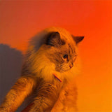 YouOKLight Sunset Lamp, Sunset Projector Lamp 10W LED Sunset Light Night Light 180 Degree Rotation Romantic Rainbow Light USB Charging for Bedroom Party Home Decor, Rainbow…