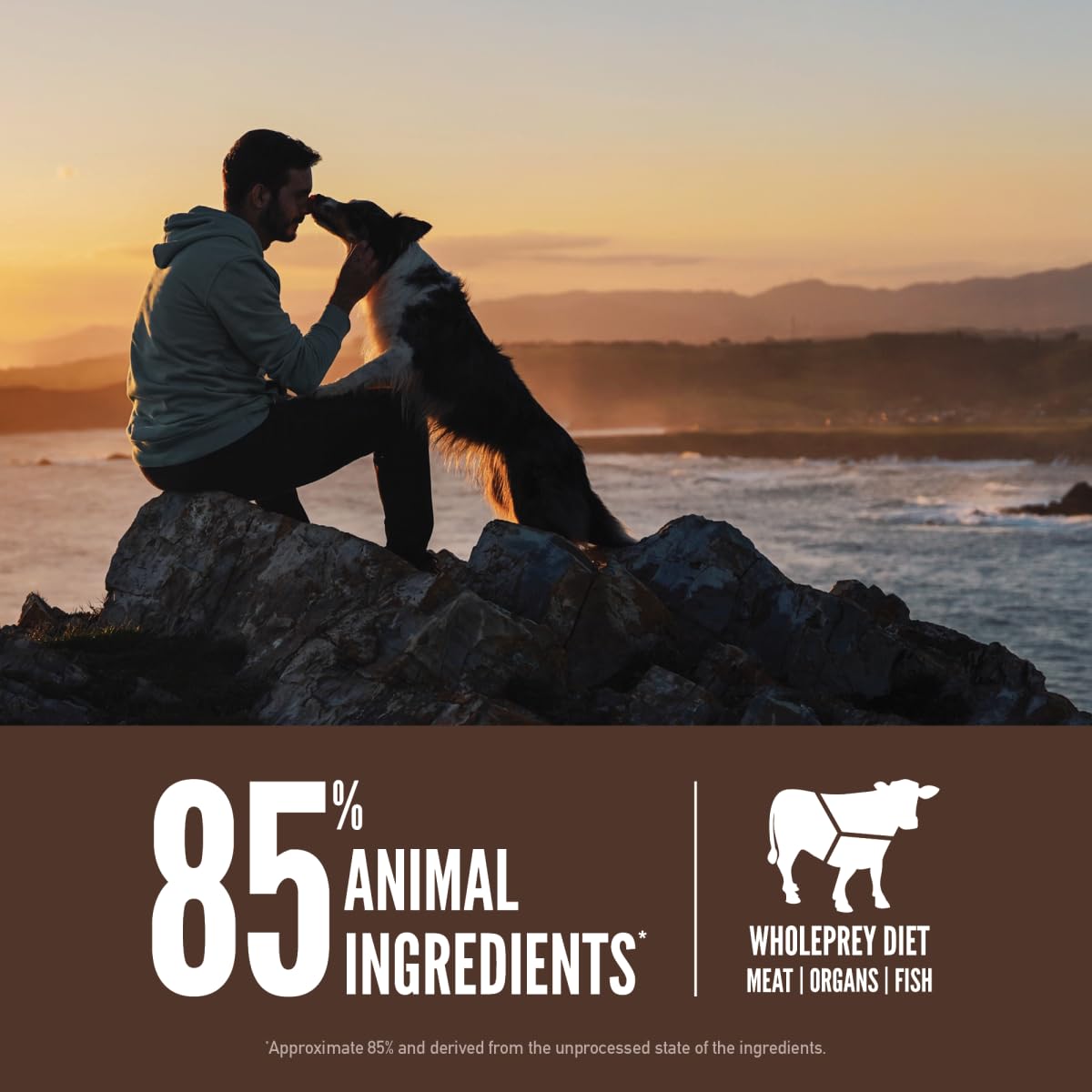 ORIJEN Dry Dog Food, Grain Free Dry Dog Food for All Life Stages, Fresh or Raw Ingredients, 13lb, Multiple Options