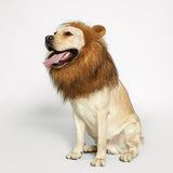 TOMSENN® Realistic & Funny Lion Mane for Dog Complementary Lion Mane for Dog Costumes for Medium to Large Sized Dogs Costumes for Animals