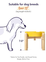 LE TAUCI Dog Bowls Slow Feeder Ceramic, 1.5 Cups Slow Feeding Dog Bowl Small Medium Breed, Puppy Slow Feeder Bowl for Fast Eater, Dog Dishes to Slow Down Eating, Puzzle Dog Food Bowl, Maze Purple