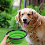 Dog Bowl Pet Collapsible Bowls, 2 Pack for Cats Dogs, Portable Pet Feeding Watering Dish for Walking Parking Traveling with 2 Carabiners (Small, Blue+Green)
