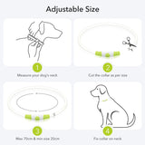 Colaseeme LED Dog Collar Light Up Dog Collars 1 Count USB Rechargeable TPU Glow Safety Basic Dog Collars, Please Do Not Use Fast Charging (Green)