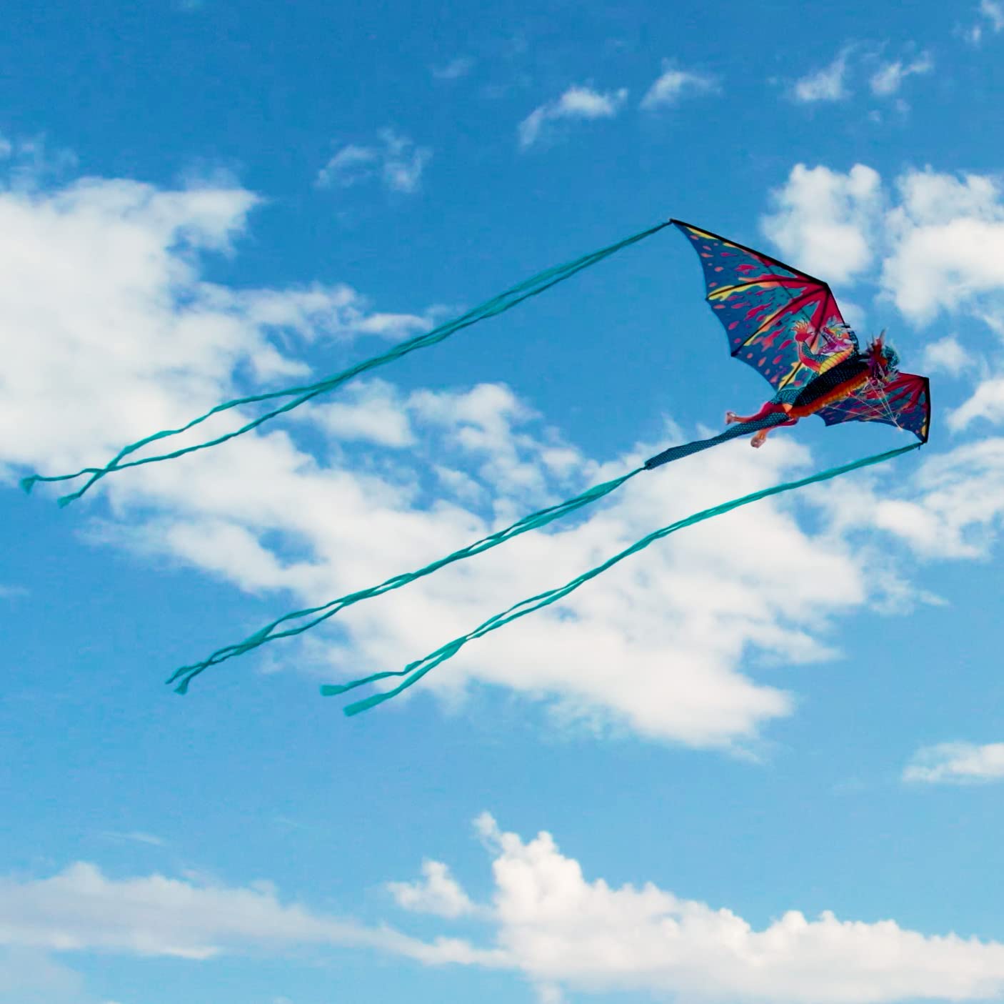 WindNSun Supersize 3D Nylon Kites