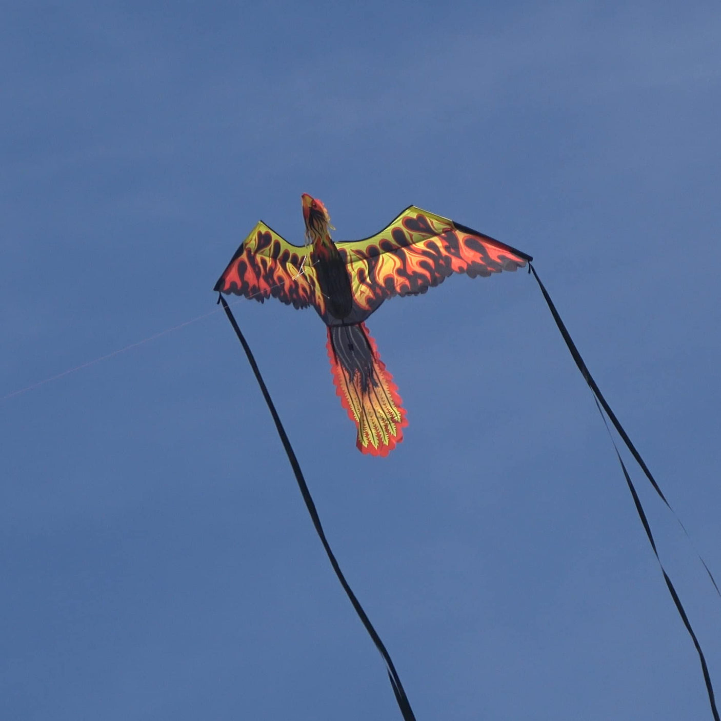 WindNSun Supersize 3D Nylon Kites