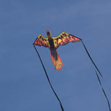 WindNSun Supersize 3D Nylon Kites