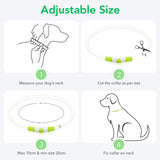 Colaseeme LED Dog Collar Light Up Dog Collars 1 Count USB Rechargeable TPU Glow Safety Basic Dog Collars, Please Do Not Use Fast Charging (Green)
