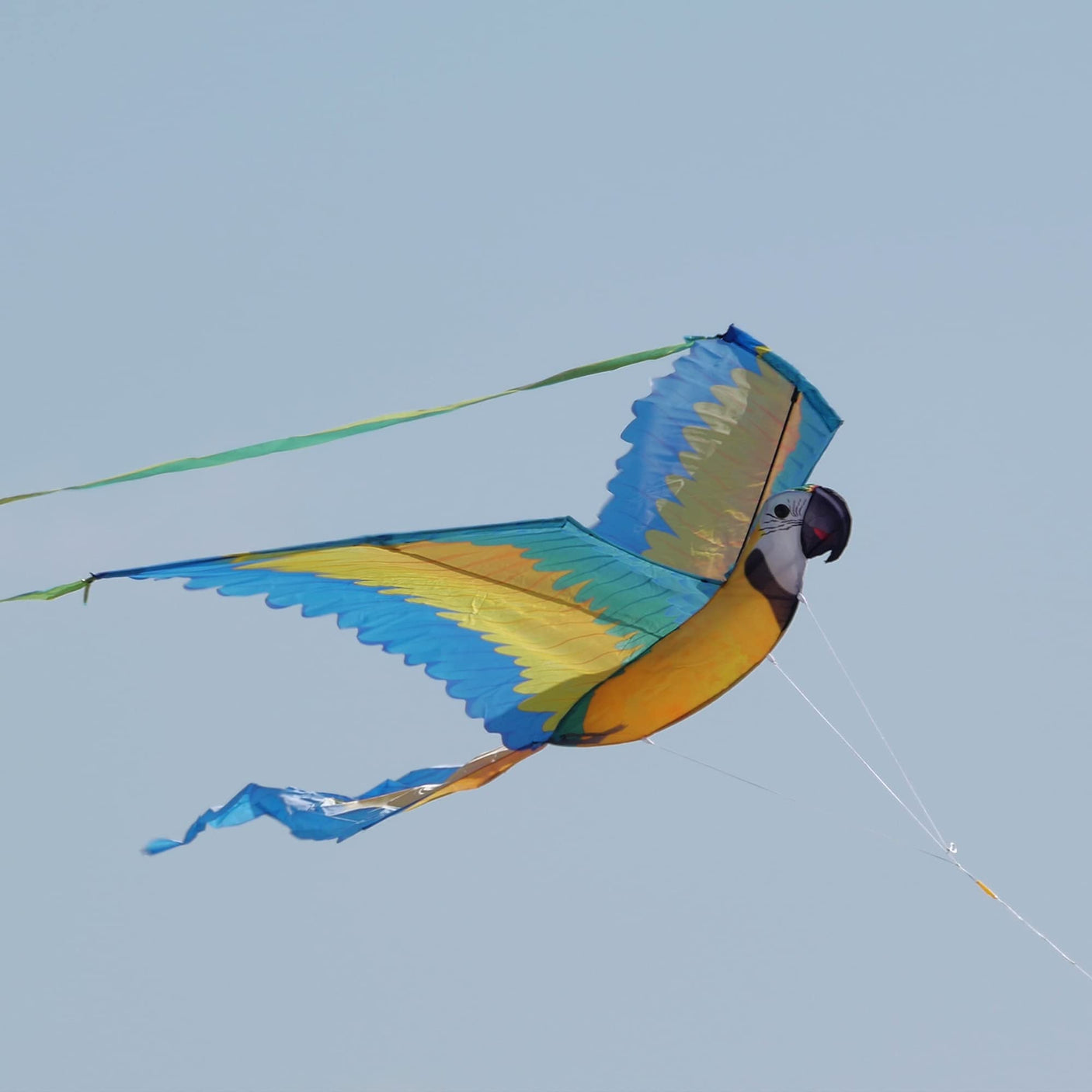 WindNSun Supersize 3D Nylon Kites