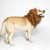 TOMSENN® Realistic & Funny Lion Mane for Dog Complementary Lion Mane for Dog Costumes for Medium to Large Sized Dogs Costumes for Animals