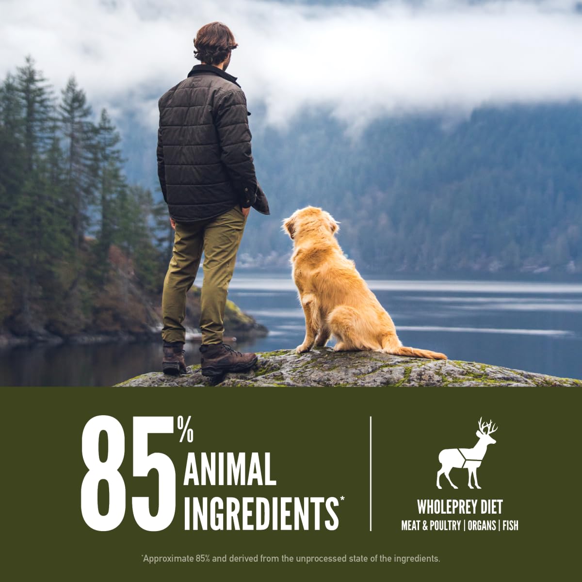 ORIJEN Dry Dog Food, Grain Free Dry Dog Food for All Life Stages, Fresh or Raw Ingredients, 13lb, Multiple Options