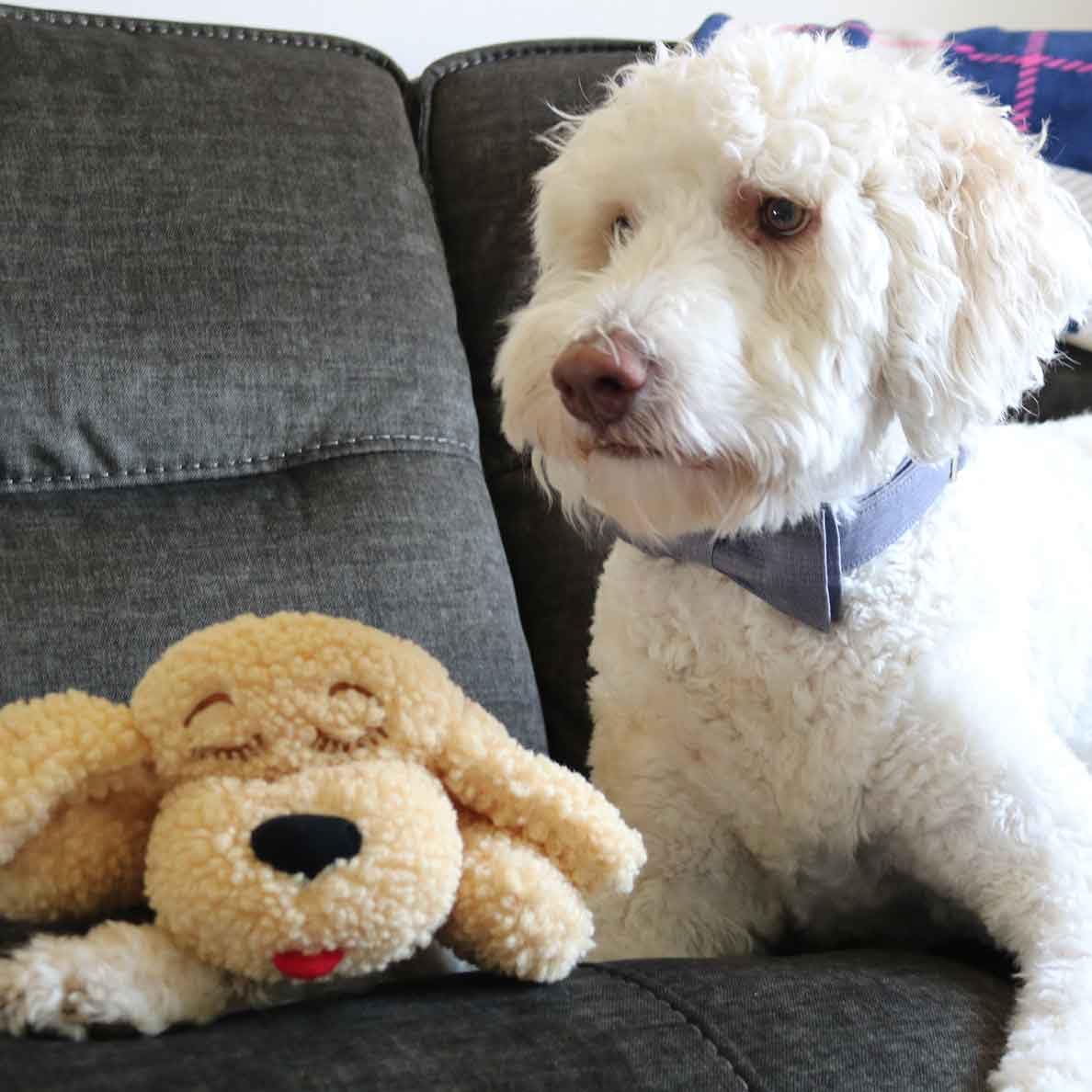 Original Snuggle Puppy Heartbeat Stuffed Dog Toy. Puppy Toy for Anxiety Relief, Calming Aid, and Comfort Toy for Behavioral Training in Golden