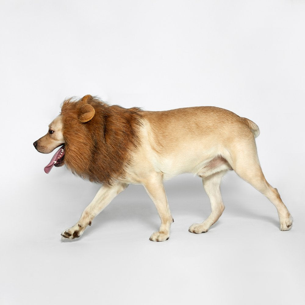 TOMSENN® Realistic & Funny Lion Mane for Dog Complementary Lion Mane for Dog Costumes for Medium to Large Sized Dogs Costumes for Animals