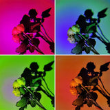 YouOKLight Sunset Lamp, Sunset Projector Lamp 10W LED Sunset Light Night Light 180 Degree Rotation Romantic Rainbow Light USB Charging for Bedroom Party Home Decor, Rainbow…