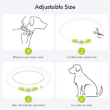 Colaseeme LED Dog Collar Light Up Dog Collars 1 Count USB Rechargeable TPU Glow Safety Basic Dog Collars, Please Do Not Use Fast Charging (Green)