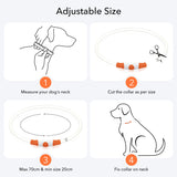 Colaseeme LED Dog Collar Light Up Dog Collars 1 Count USB Rechargeable TPU Glow Safety Basic Dog Collars, Please Do Not Use Fast Charging (Green)
