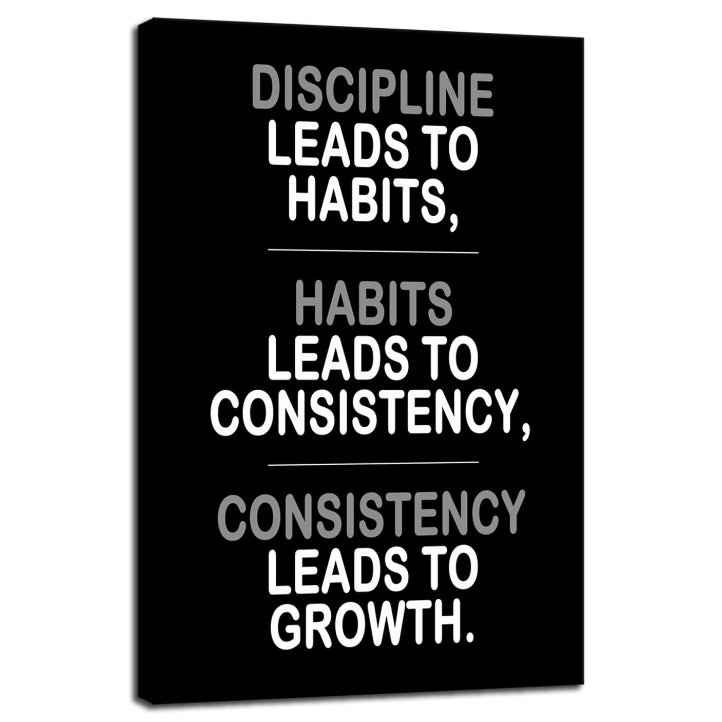 Inspirational Office Wall Decor Motivational Discipline Noun Canvas Wall Art Posters Prints Entrepreneur Quote Wall Picture Paintings Artwork Home Bedroom Framed Ready to Hang[12''W X 18''H]