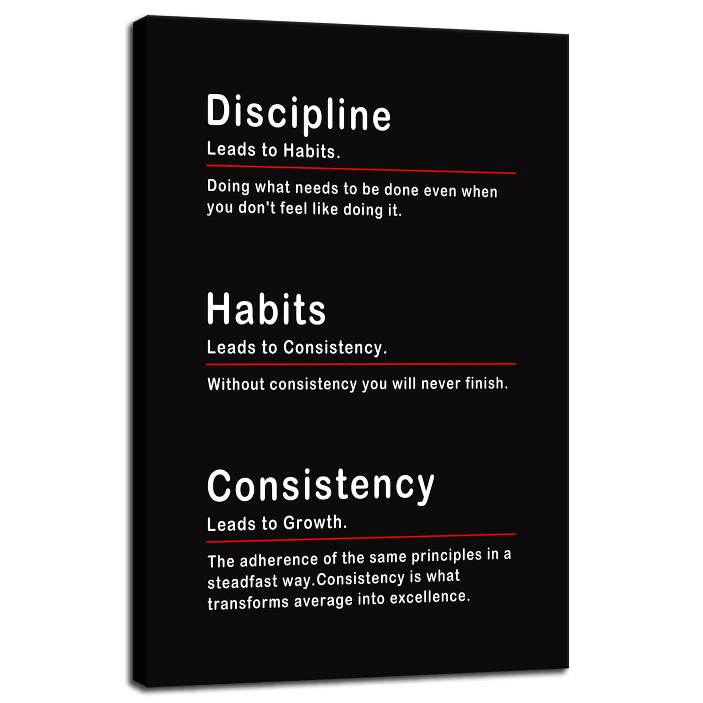 Inspirational Office Wall Decor Motivational Discipline Noun Canvas Wall Art Posters Prints Entrepreneur Quote Wall Picture Paintings Artwork Home Bedroom Framed Ready to Hang[12''W X 18''H]