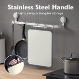 SNOWCLAD Stainless Steel Cutting Board,Double Sided Steel Cutting Boards for kitchen,Stainless Steel/Wheat straw pp Large Board for meat,non toxic Chopping,16 * 11 Inch,Dishwasher Safe
