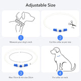 Colaseeme LED Dog Collar Light Up Dog Collars 1 Count USB Rechargeable TPU Glow Safety Basic Dog Collars, Please Do Not Use Fast Charging (Green)