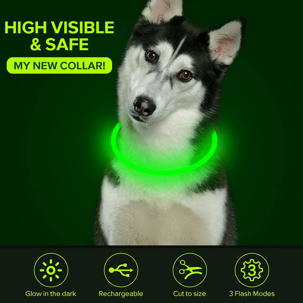 Colaseeme LED Dog Collar Light Up Dog Collars 1 Count USB Rechargeable TPU Glow Safety Basic Dog Collars, Please Do Not Use Fast Charging (Green)