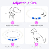 Colaseeme LED Dog Collar Light Up Dog Collars 1 Count USB Rechargeable TPU Glow Safety Basic Dog Collars, Please Do Not Use Fast Charging (Green)
