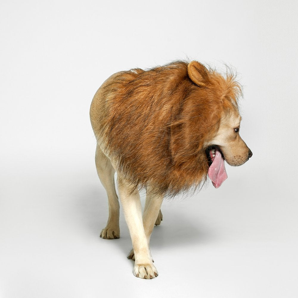 TOMSENN® Realistic & Funny Lion Mane for Dog Complementary Lion Mane for Dog Costumes for Medium to Large Sized Dogs Costumes for Animals