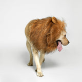 TOMSENN® Realistic & Funny Lion Mane for Dog Complementary Lion Mane for Dog Costumes for Medium to Large Sized Dogs Costumes for Animals
