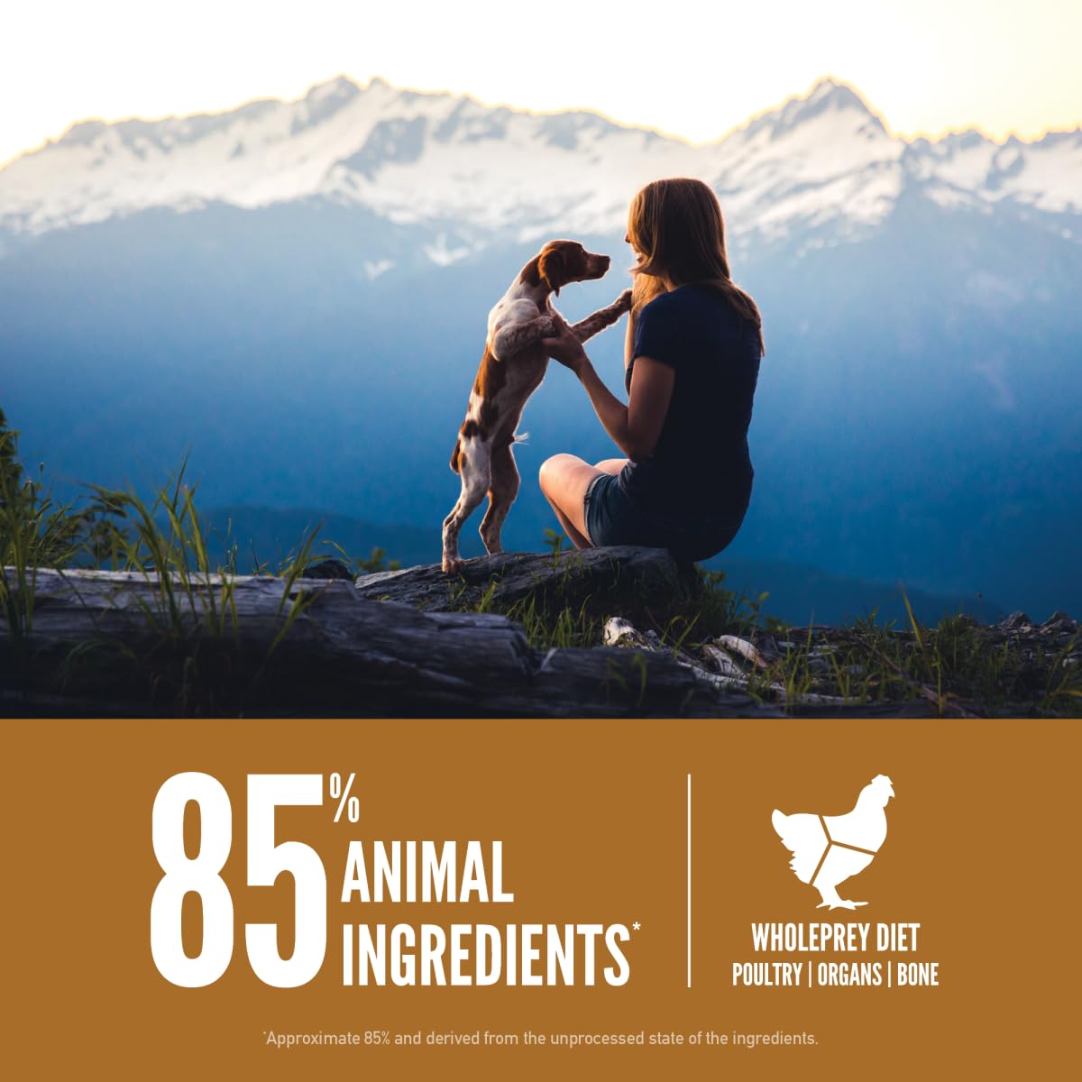 ORIJEN Dry Dog Food, Grain Free Dry Dog Food for All Life Stages, Fresh or Raw Ingredients, 13lb, Multiple Options
