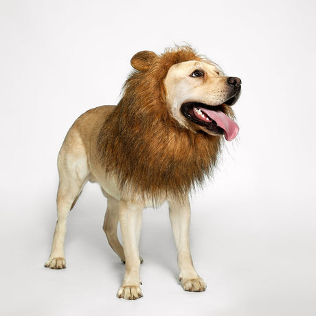 TOMSENN® Realistic & Funny Lion Mane for Dog Complementary Lion Mane for Dog Costumes for Medium to Large Sized Dogs Costumes for Animals