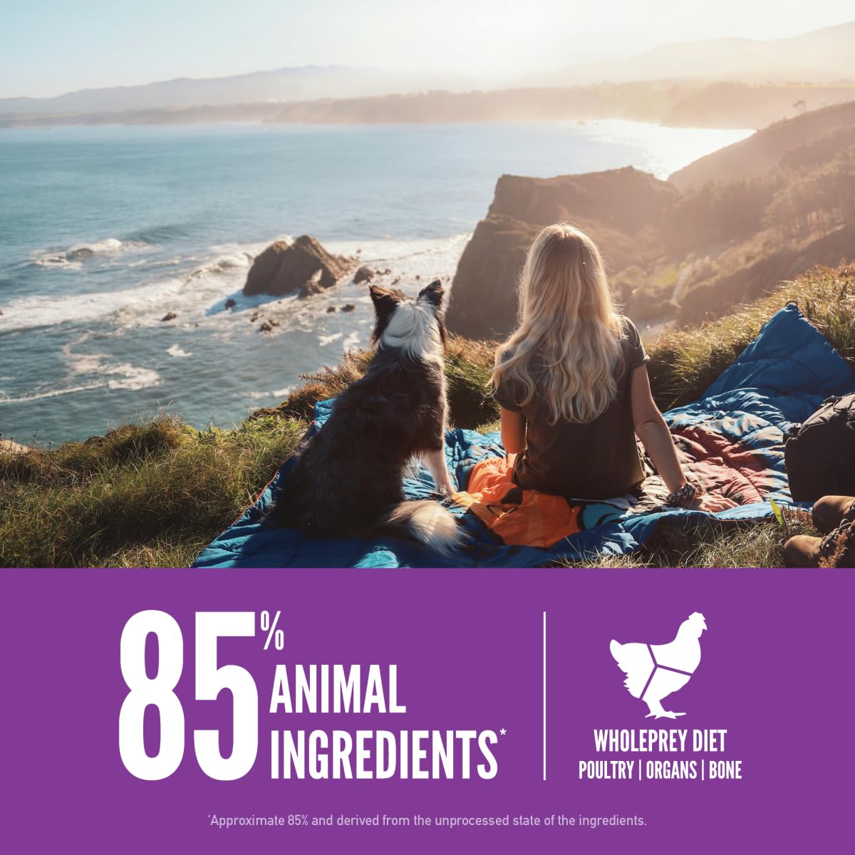 ORIJEN Dry Dog Food, Grain Free Dry Dog Food for All Life Stages, Fresh or Raw Ingredients, 13lb, Multiple Options
