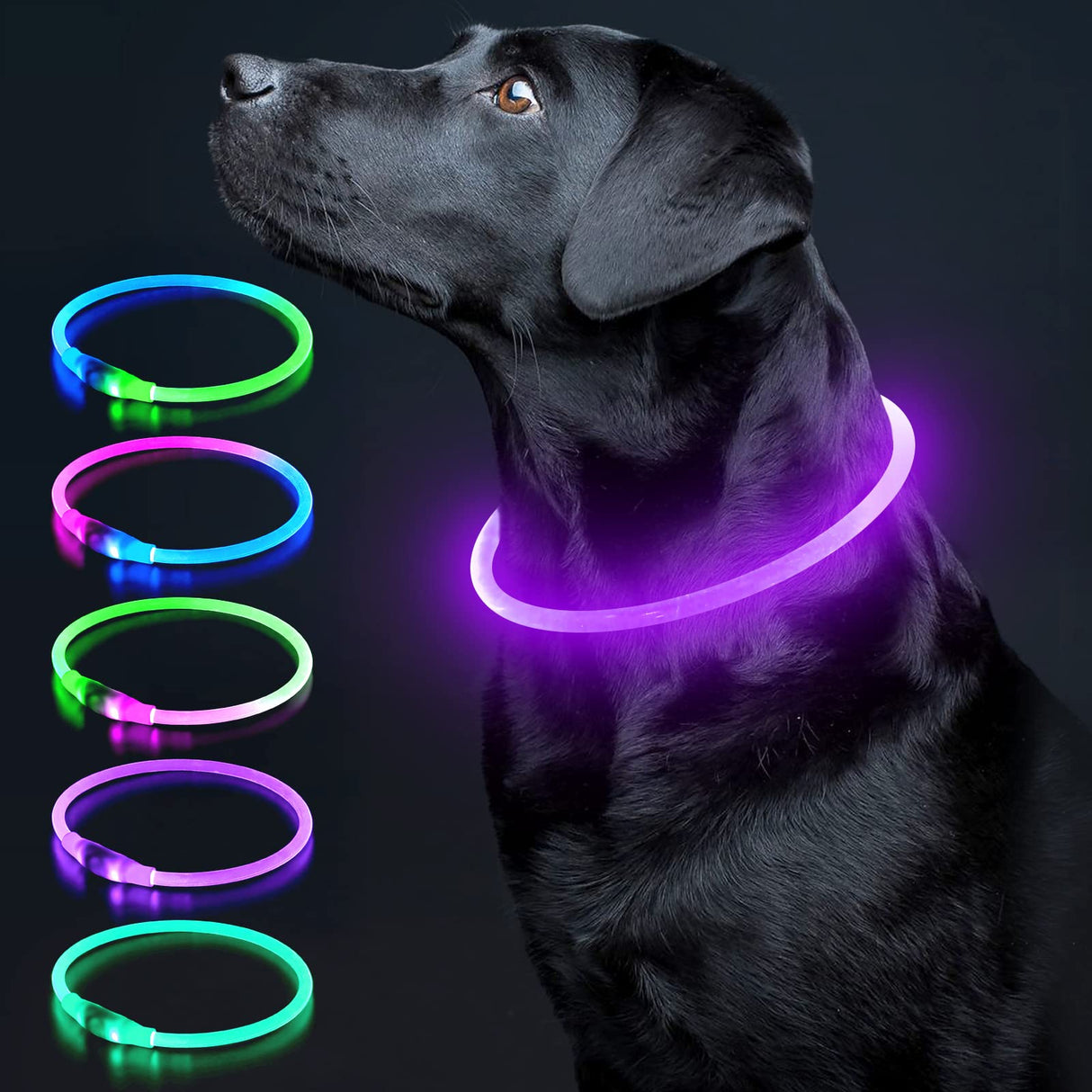 Colaseeme LED Dog Collar Light Up Dog Collars 1 Count USB Rechargeable TPU Glow Safety Basic Dog Collars, Please Do Not Use Fast Charging (Green)