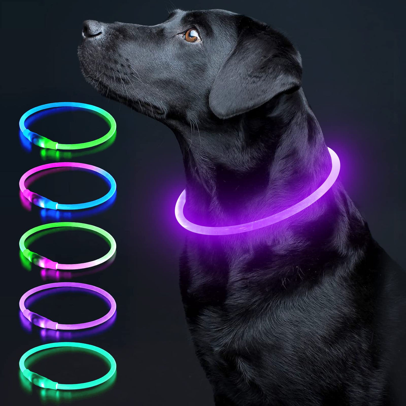 Colaseeme LED Dog Collar Light Up Dog Collars 1 Count USB Rechargeable TPU Glow Safety Basic Dog Collars, Please Do Not Use Fast Charging (Green)