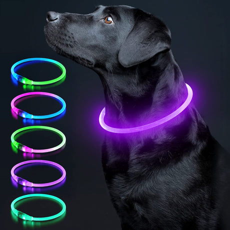 Colaseeme LED Dog Collar Light Up Dog Collars 1 Count USB Rechargeable TPU Glow Safety Basic Dog Collars, Please Do Not Use Fast Charging (Green)