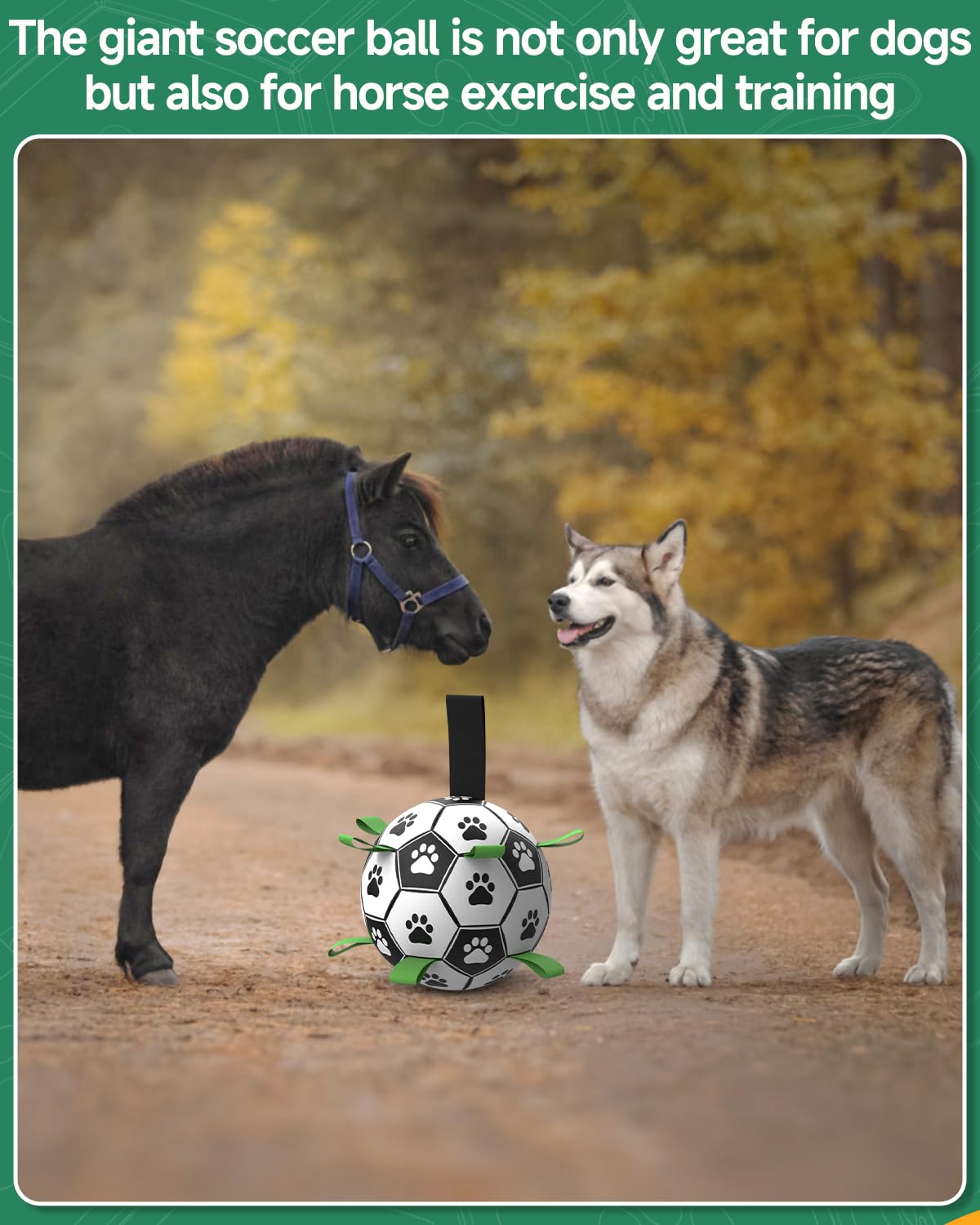 QDAN Premium Dog Toys Balls, Dog Soccer Ball with Straps, Dog Birthday Gifts, Herding Ball, Durable Balls for Small Medium Pet, Puppy Outdoor Toy, Pet Training Soccer Ball, World Cup Soccer (6 Inch)