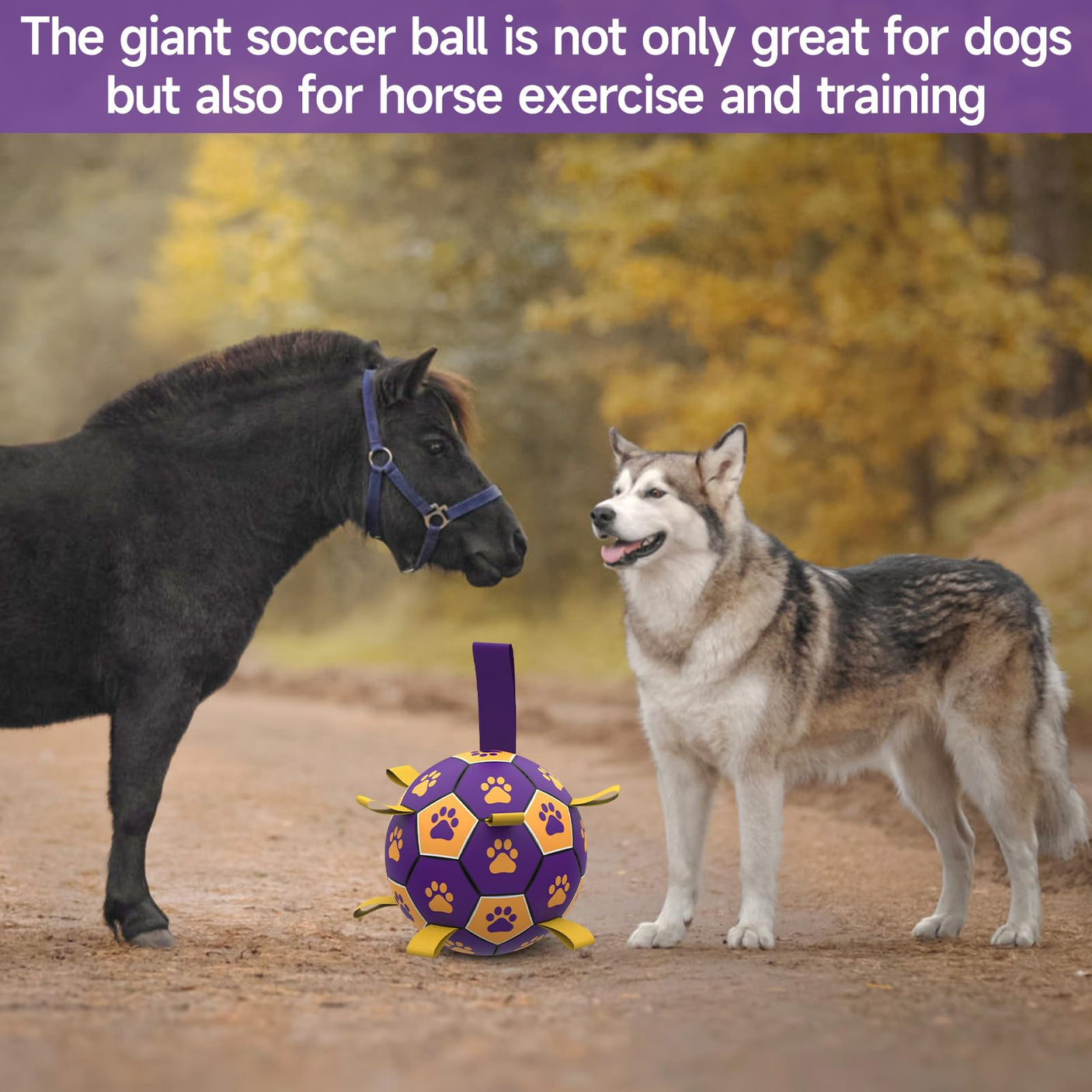 QDAN Premium Dog Toys Balls, Dog Soccer Ball with Straps, Dog Birthday Gifts, Herding Ball, Durable Balls for Small Medium Pet, Puppy Outdoor Toy, Pet Training Soccer Ball, World Cup Soccer (6 Inch)