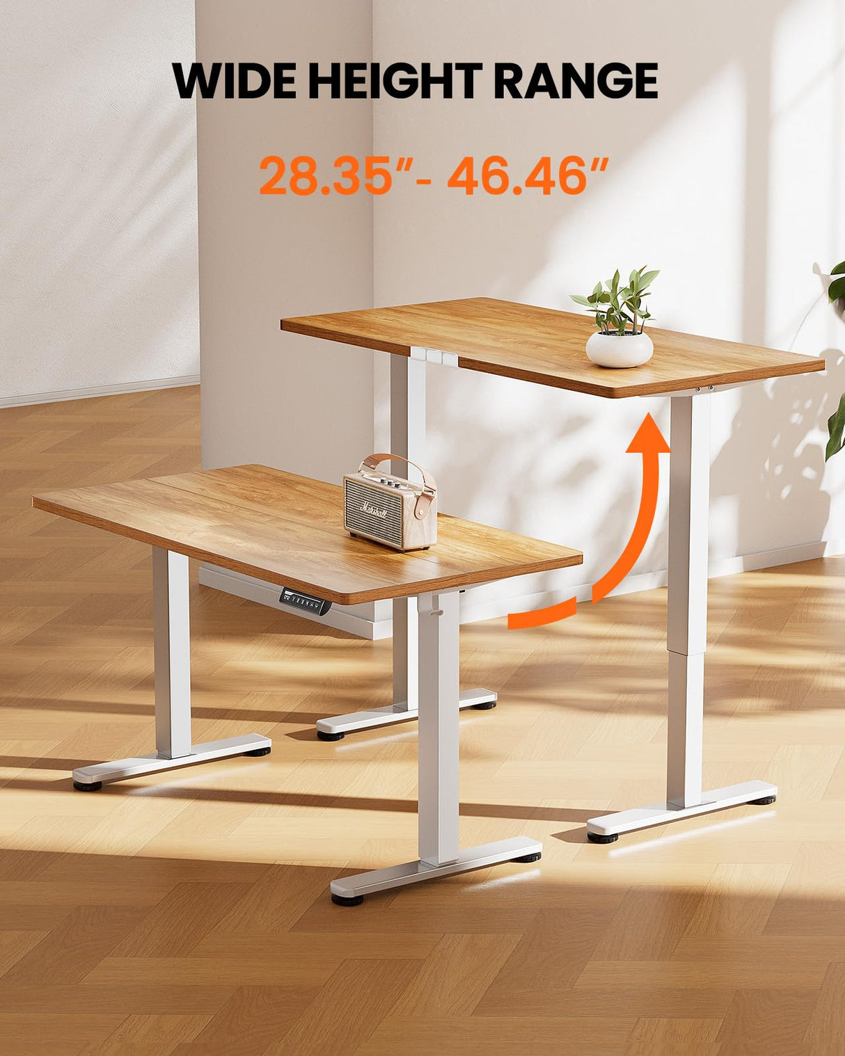 ErGear Height Adjustable Electric Standing Desk, 55 x 28 Inches Sit Stand up Desk, Large Memory Computer Home Office Desk with Two-Piece Desktop (Black)