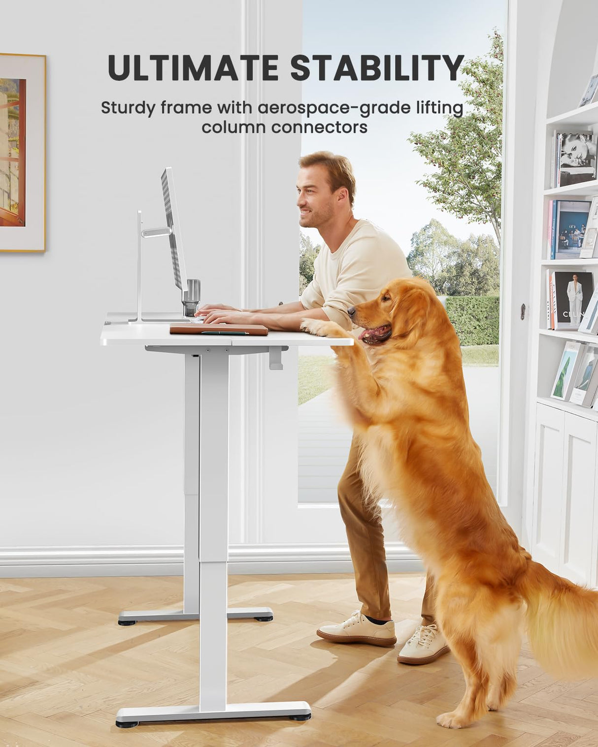 ErGear Height Adjustable Electric Standing Desk, 55 x 28 Inches Sit Stand up Desk, Large Memory Computer Home Office Desk with Two-Piece Desktop (Black)