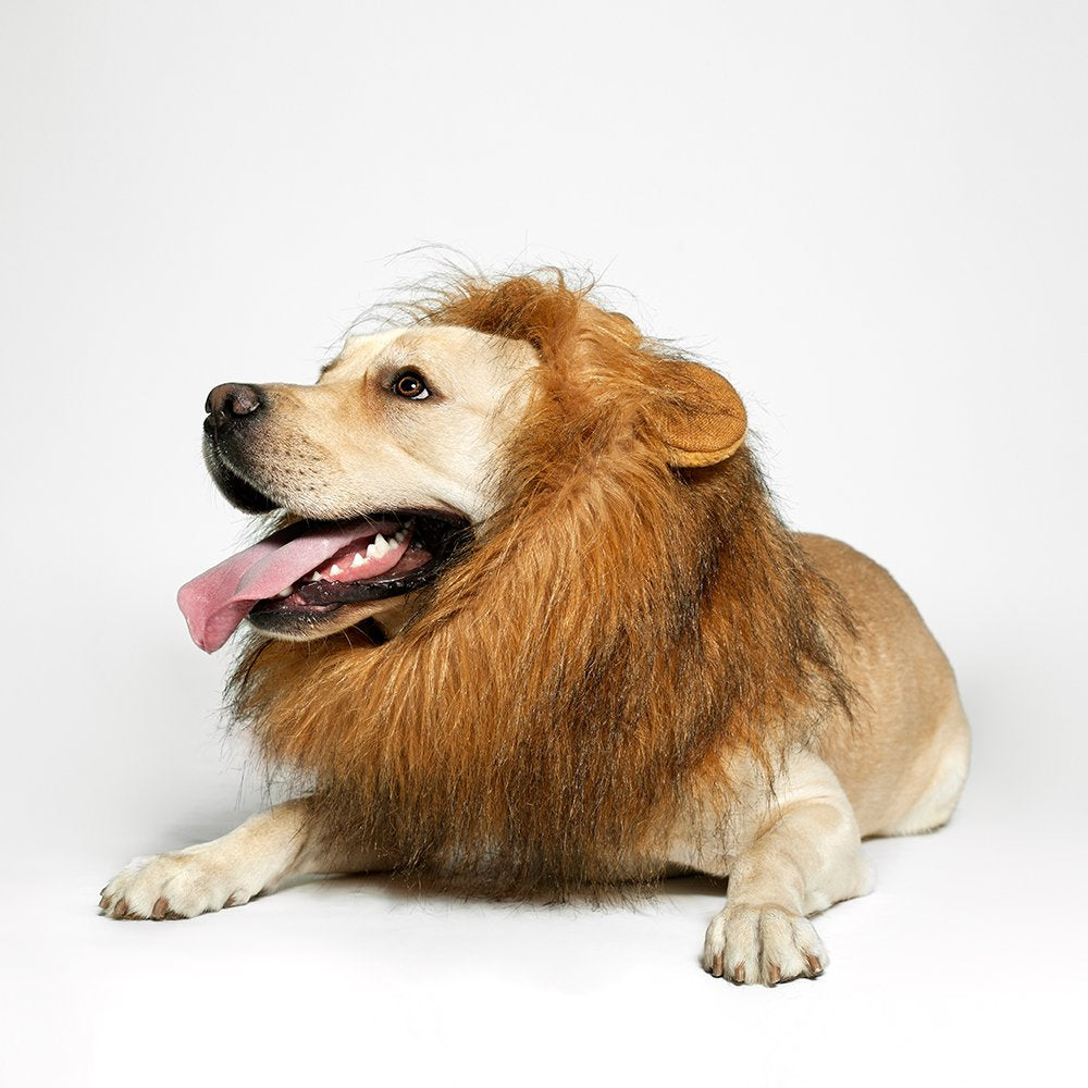 TOMSENN® Realistic & Funny Lion Mane for Dog Complementary Lion Mane for Dog Costumes for Medium to Large Sized Dogs Costumes for Animals