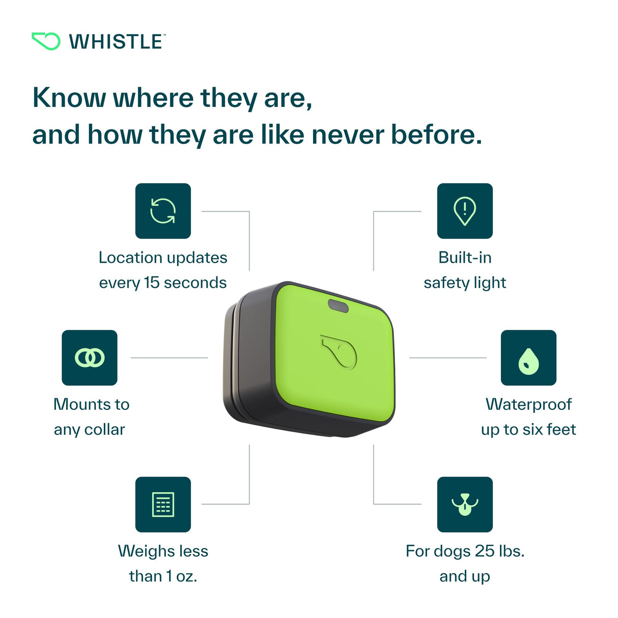 Whistle Go Explore/The Ultimate Health + GPS Location Tracker for Pets/Grey