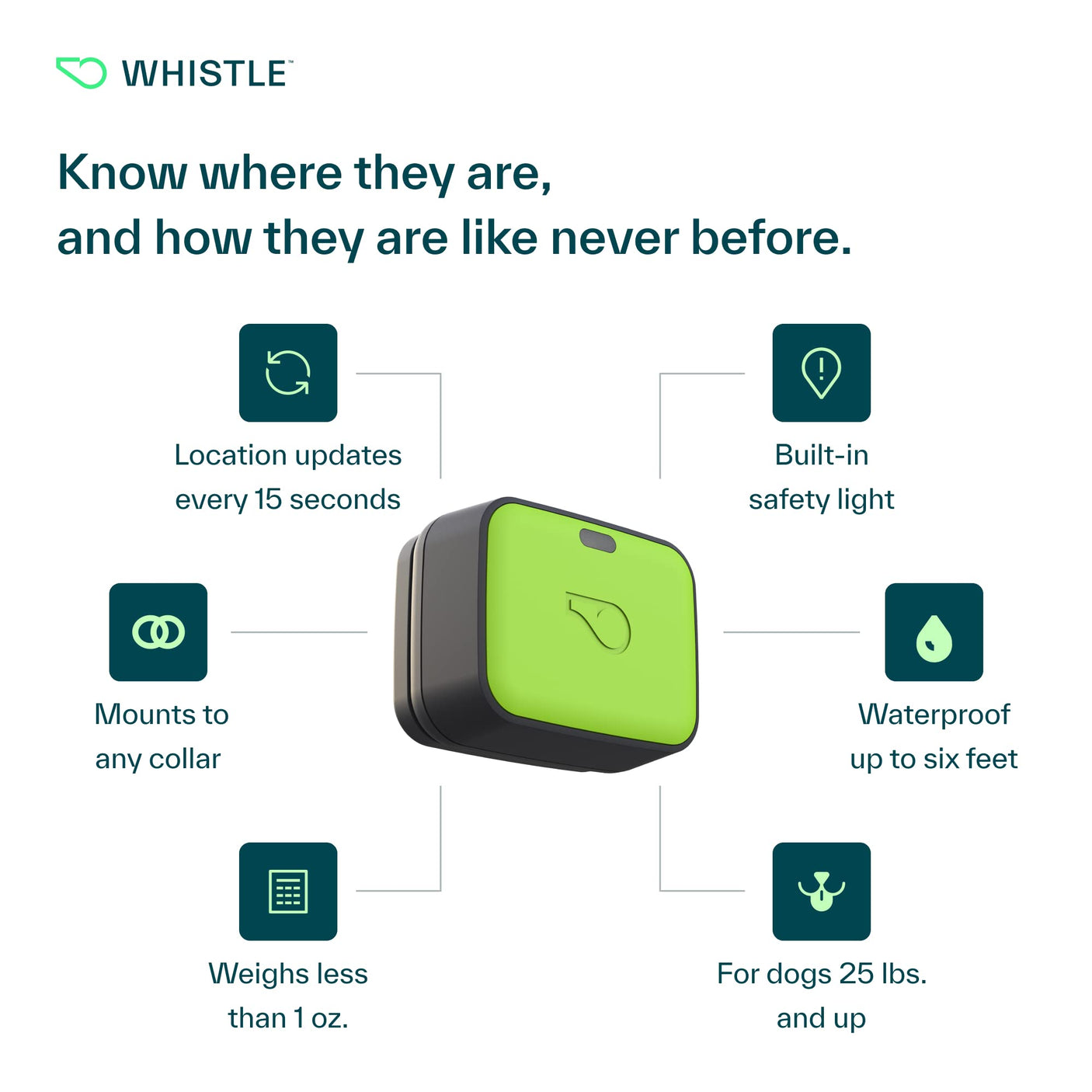Whistle Go Explore/The Ultimate Health + GPS Location Tracker for Pets/Grey