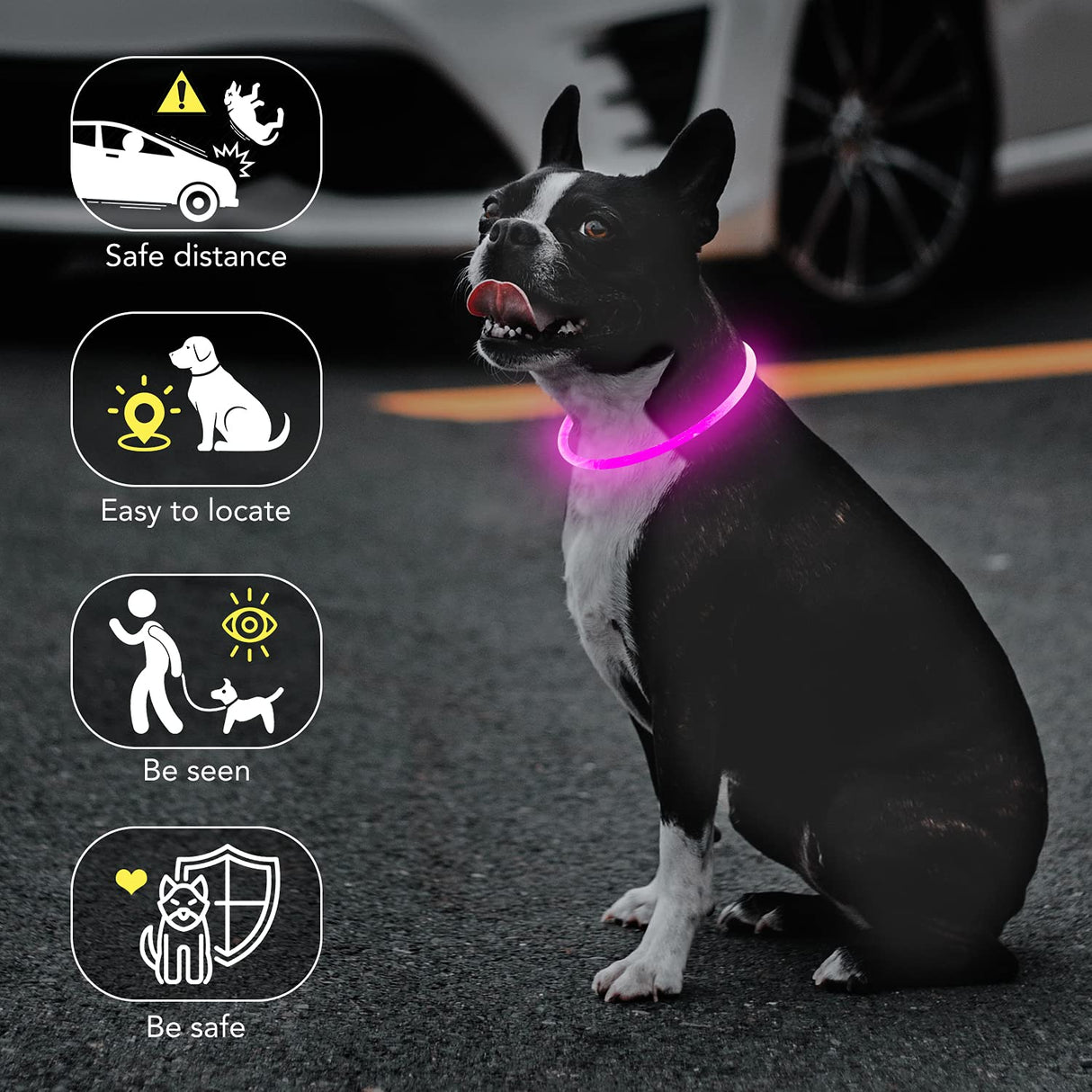 Colaseeme LED Dog Collar Light Up Dog Collars 1 Count USB Rechargeable TPU Glow Safety Basic Dog Collars, Please Do Not Use Fast Charging (Green)