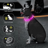 Colaseeme LED Dog Collar Light Up Dog Collars 1 Count USB Rechargeable TPU Glow Safety Basic Dog Collars, Please Do Not Use Fast Charging (Green)