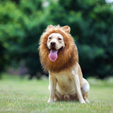 TOMSENN® Realistic & Funny Lion Mane for Dog Complementary Lion Mane for Dog Costumes for Medium to Large Sized Dogs Costumes for Animals