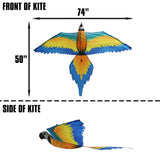 WindNSun Supersize 3D Nylon Kites