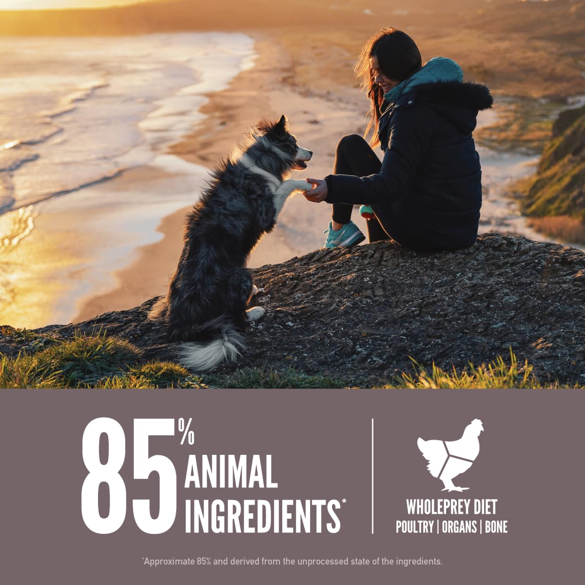 ORIJEN Dry Dog Food, Grain Free Dry Dog Food for All Life Stages, Fresh or Raw Ingredients, 13lb, Multiple Options