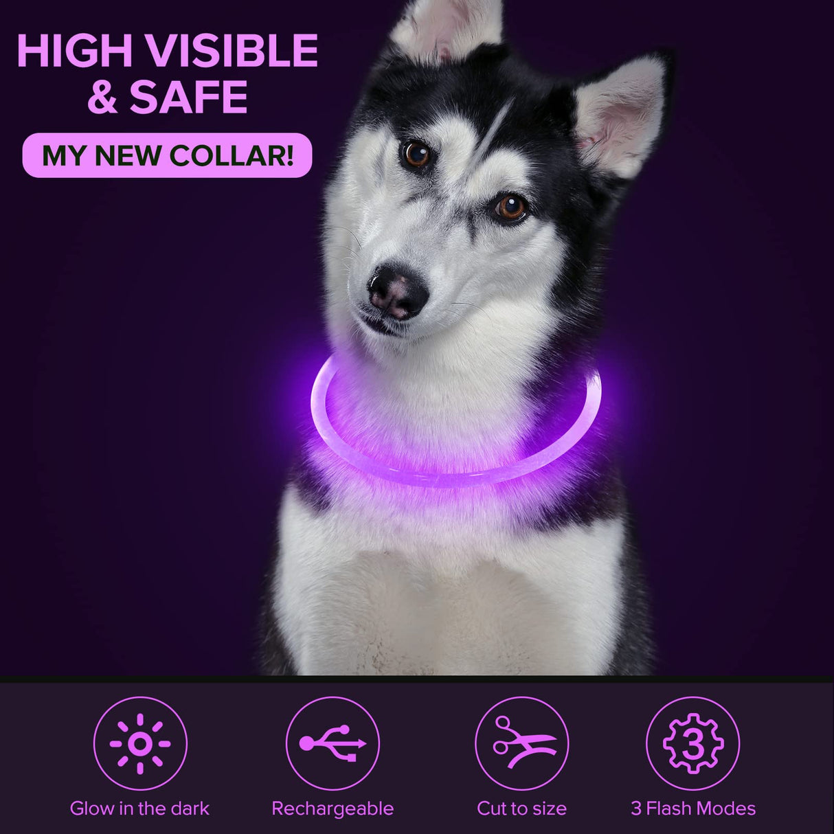 Colaseeme LED Dog Collar Light Up Dog Collars 1 Count USB Rechargeable TPU Glow Safety Basic Dog Collars, Please Do Not Use Fast Charging (Green)